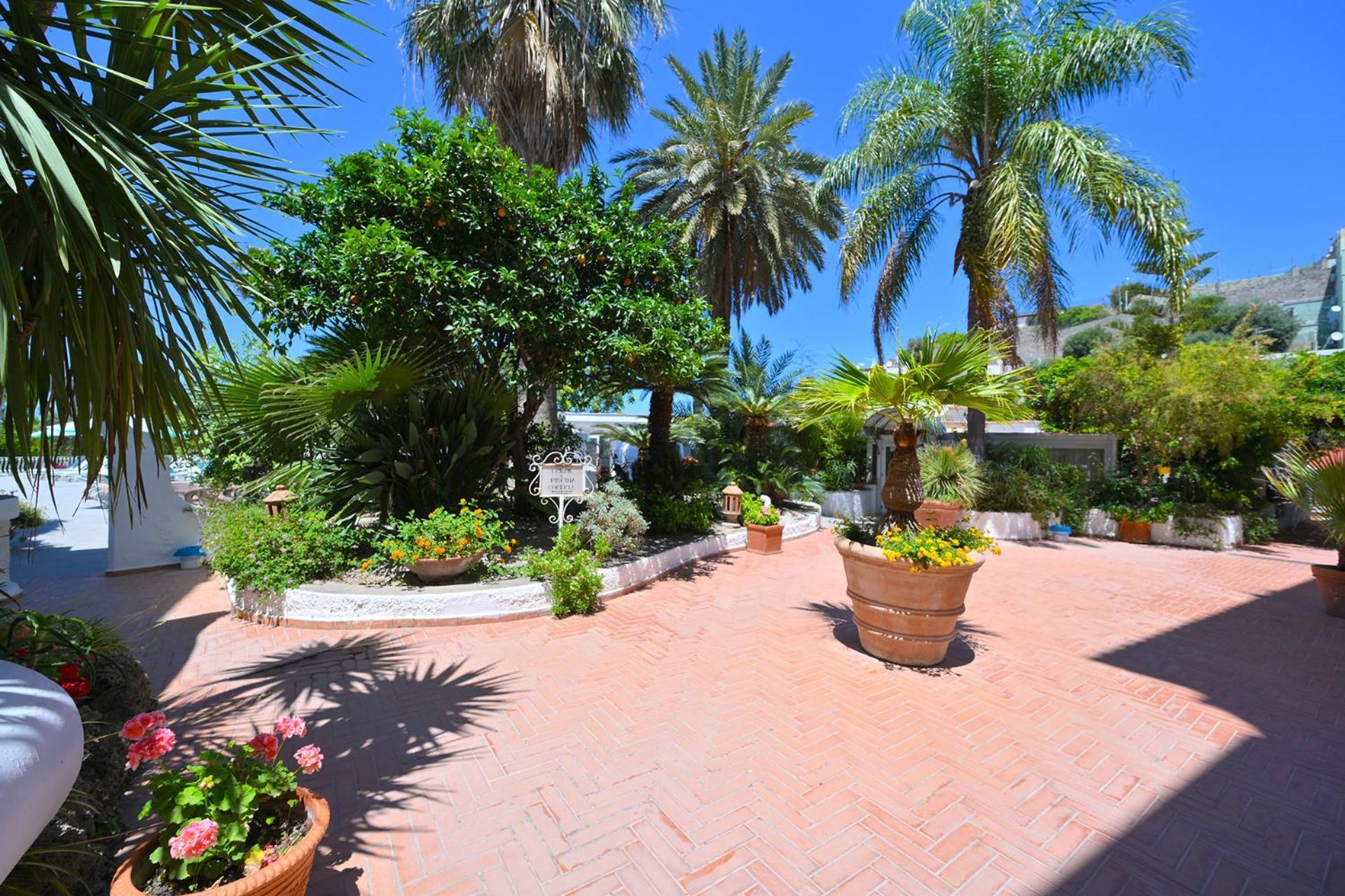 Hotel Av Club Terme Colella Forio di Ischia Exteriér fotografie